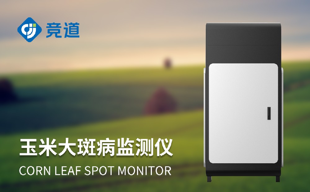 玉米大斑病防治新手段，玉米大斑病监测仪提升病害治理能力